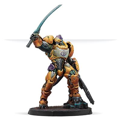 Infinity Reinforcements: Haetae Unit (HMG) - EN