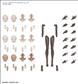 30Ms Option Body Parts Arm Parts & Leg Parts [Brown]