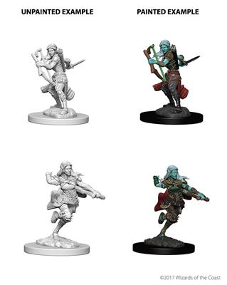 D&D Nolzur's Marvelous Miniatures - Air Genasi Female Rogue