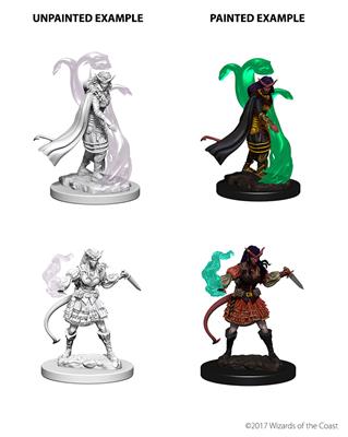 D&D Nolzur's Marvelous Miniatures - Tiefling Female Sorcerer