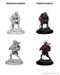 D&D Nolzur's Marvelous Miniatures - Drow