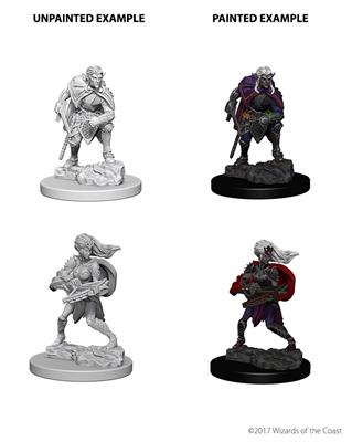 D&D Nolzur's Marvelous Miniatures - Drow