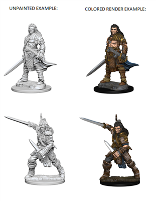 Pathfinder Deep Cuts Unpainted Miniatures - Human Male Fighter