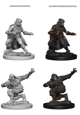 Pathfinder Deep Cuts Unpainted Miniatures - Human Male Rogue