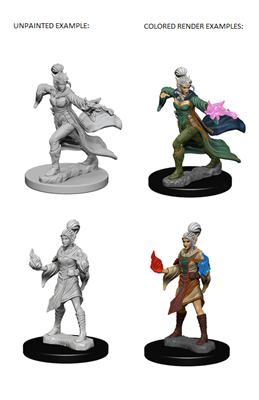 Pathfinder Deep Cuts Unpainted Miniatures - Elf Female Sorcerer