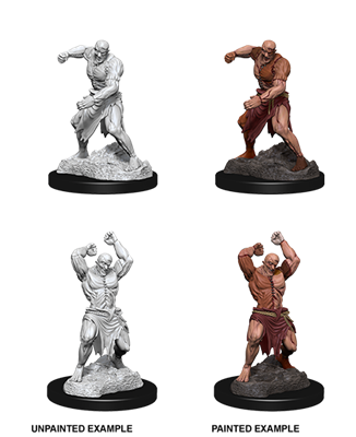 D&D Nolzur's Marvelous Miniatures: Flesh Golem