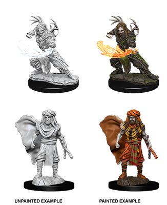 D&D Nolzur's Marvelous Miniatures: Male Human Druid