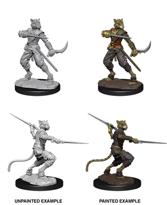 D&D Nolzur's Marvelous Miniatures - Male Tabaxi Rogue