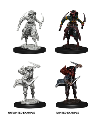 D&D Nolzur's Marvelous Miniatures - Tiefling Female Rogue