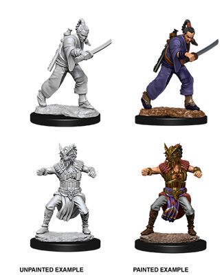 D&D Nolzur's Marvelous Miniatures - Male Human Monk