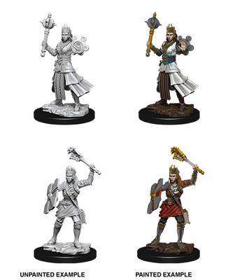 D&D Nolzur's Marvelous Miniatures - Female Human Cleric