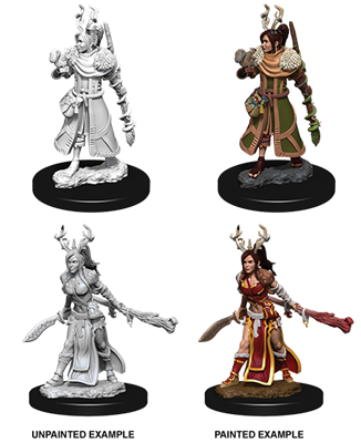 D&D Nolzur's Marvelous Miniatures - Female Human Druid