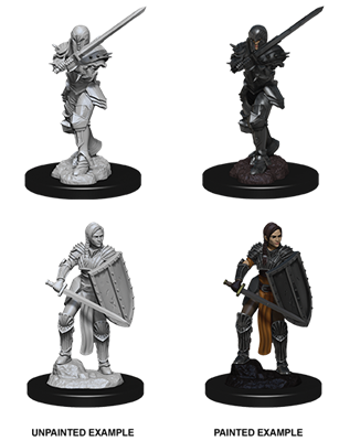 D&D Nolzur's Marvelous Miniatures - Female Human Fighter