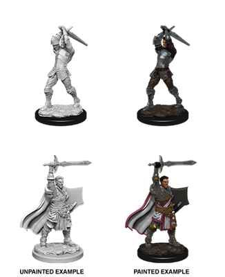 D&D Nolzur's Marvelous Miniatures - Manlig Mänsklig Paladin