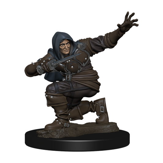 Pathfinder Battles: Premium Painted Figur - Human Rogue Male - EN