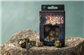 Runic flaska-green & gold Dice Set (7)