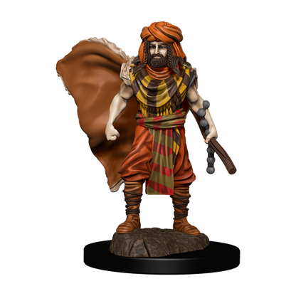 D&D Icons of the Realms: Premium Painted Figur - Human Druid Male