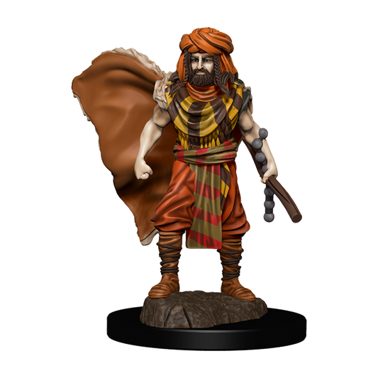 D&D Icons of the Realms: Premium Painted Figur - Human Druid Male