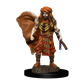 D&D Icons of the Realms: Premium Painted Figur - Human Druid Male