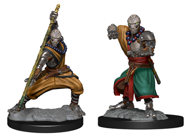 D&D Nolzur's Marvelous Miniatures: Warforged Monk