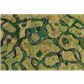 Kraken Wargames Gaming Mat - Forsaken Swamp 44"x60"