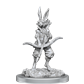 D&D Nolzur's Marvelous Miniatures: Paint Kit - Harengon - EN