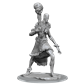 D&D Nolzur's Marvelous Miniatures: Stone Giant - EN