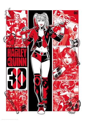 Harley Quinn Limited Edition 30th Anniversary Art Print