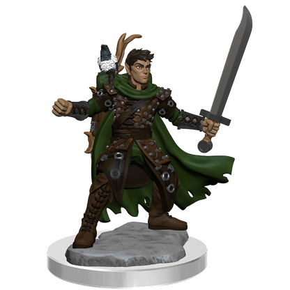 D&D Frameworks: Male Half-Elf Ranger - EN