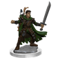 D&D Frameworks: Male Half-Elf Ranger - EN