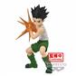 Hunter×Hunter Vibration Stars-Gon-