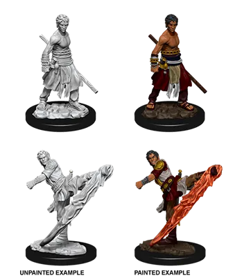 D&D Nolzur's Marvelous Miniatures - Male Half-Elf Monk